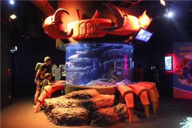Океанариум в Бангкоке (Siam Ocean World) 