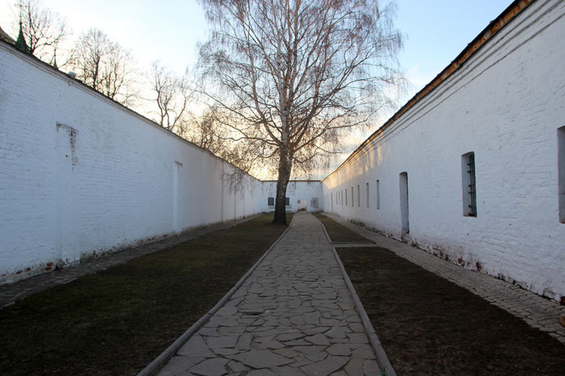 владимир 351