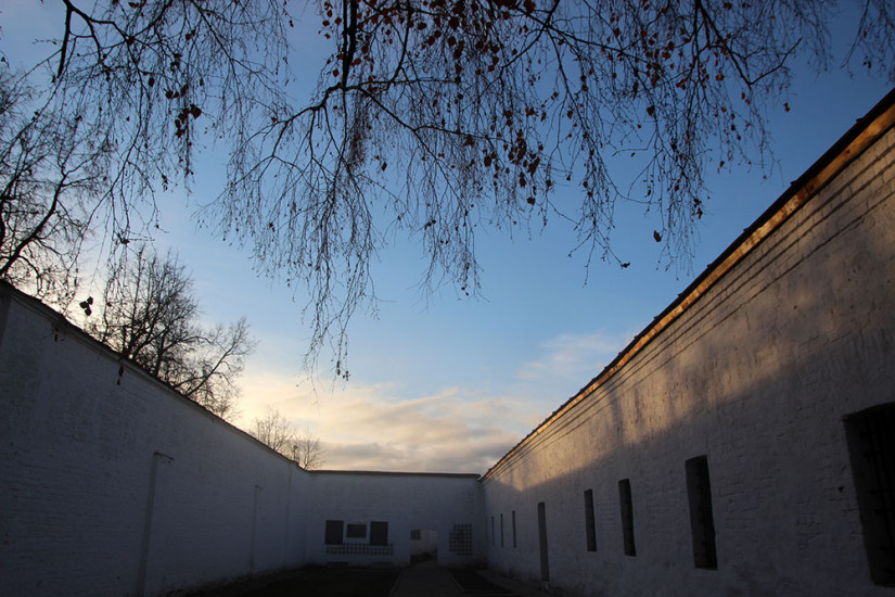 владимир 352