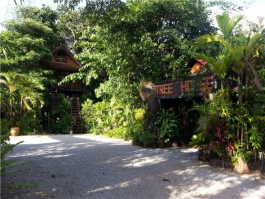 Национальный заповедник Кхао Сок (Khao Sok)