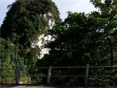 Национальный заповедник Кхао Сок (Khao Sok)
