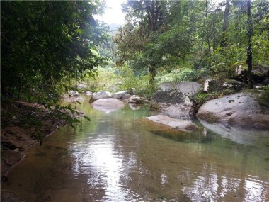 Национальный заповедник Кхао Сок (Khao Sok)