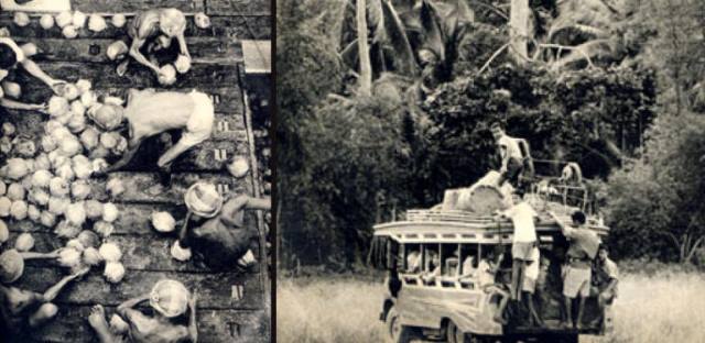 Koh-Samui-history