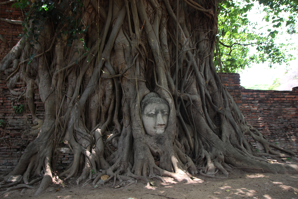 Аюттайя/Аютайя (Таиланд), история Аюттая, история Сукотай, Sukhothai, путешествие, дауншифтинг