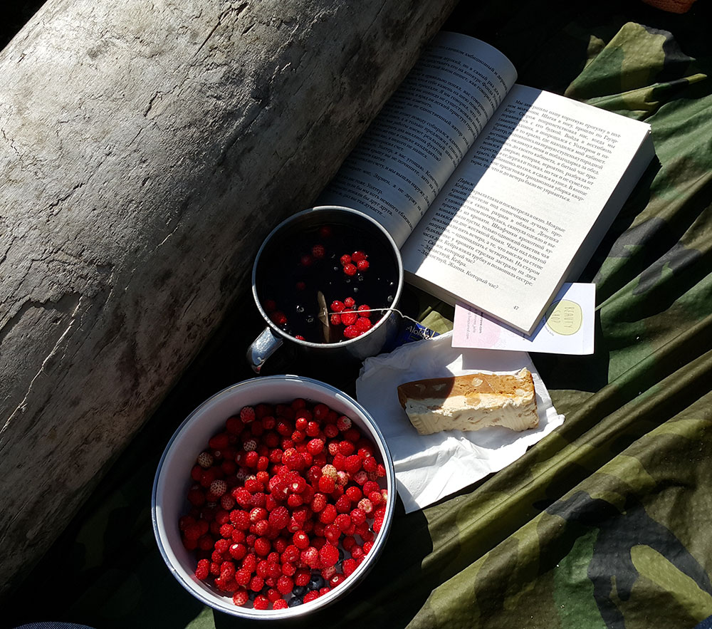 Рыбинское водохранилище, ПОХОД С ПАЛАТКАМИ, КАК СОБРАТЬСЯ В ПОХОД, как выбрать палатку, как выбрать солнечную батарею для похода, КАК ВЫБРАТЬ РЮКЗАК ДЛЯ ПУТЕШЕСТВИЙ, Янушевский Николас, путешествия по россии, путешествие по россии