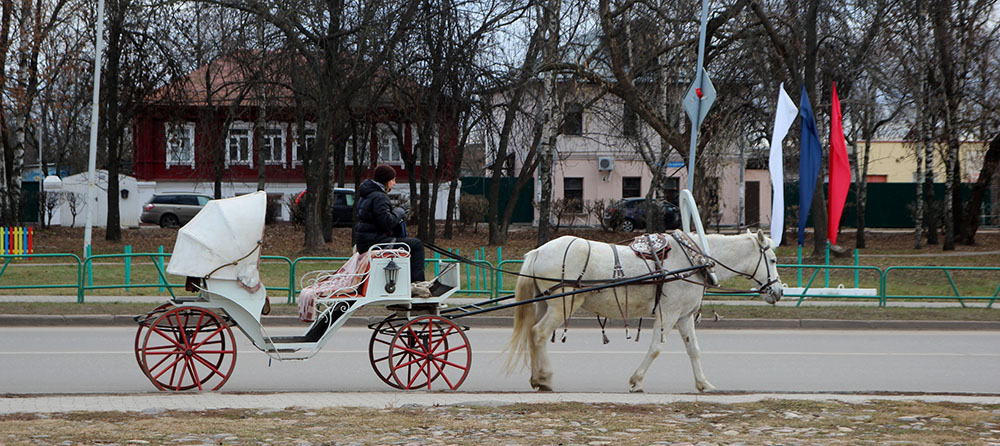 владимир 142